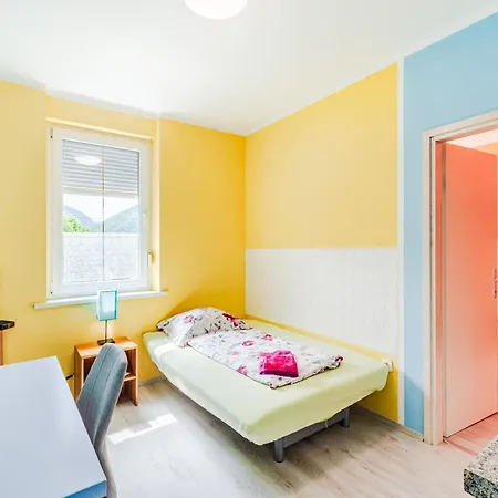 Orhideja تولمين