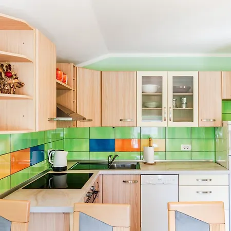 Orhideja تولمين