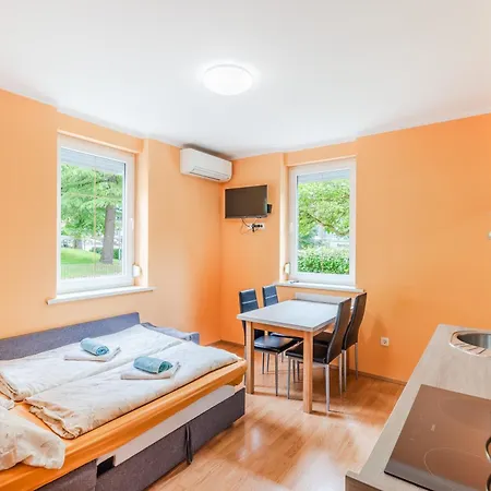 Orhideja تولمين