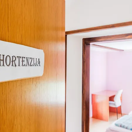 Orhideja تولمين