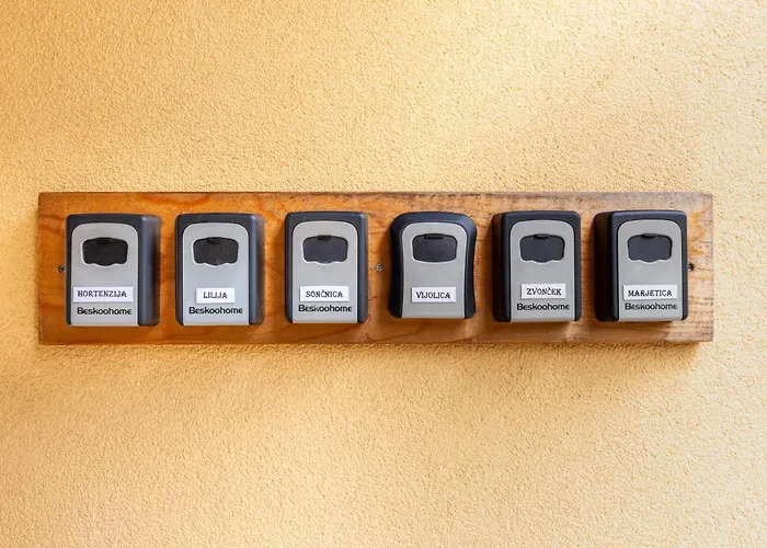 Orhideja * トールミン